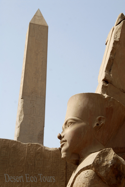 The temples of Luxor